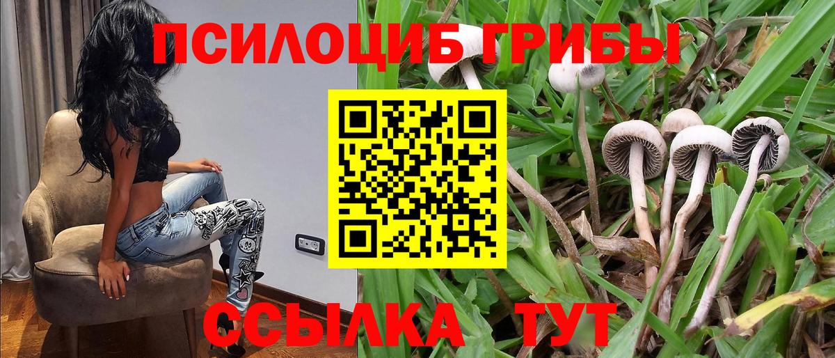 Псилоцибиновые грибы ЛСД  Галлюциногенные грибы мухоморы  Вход с VPN  Ессентуки 